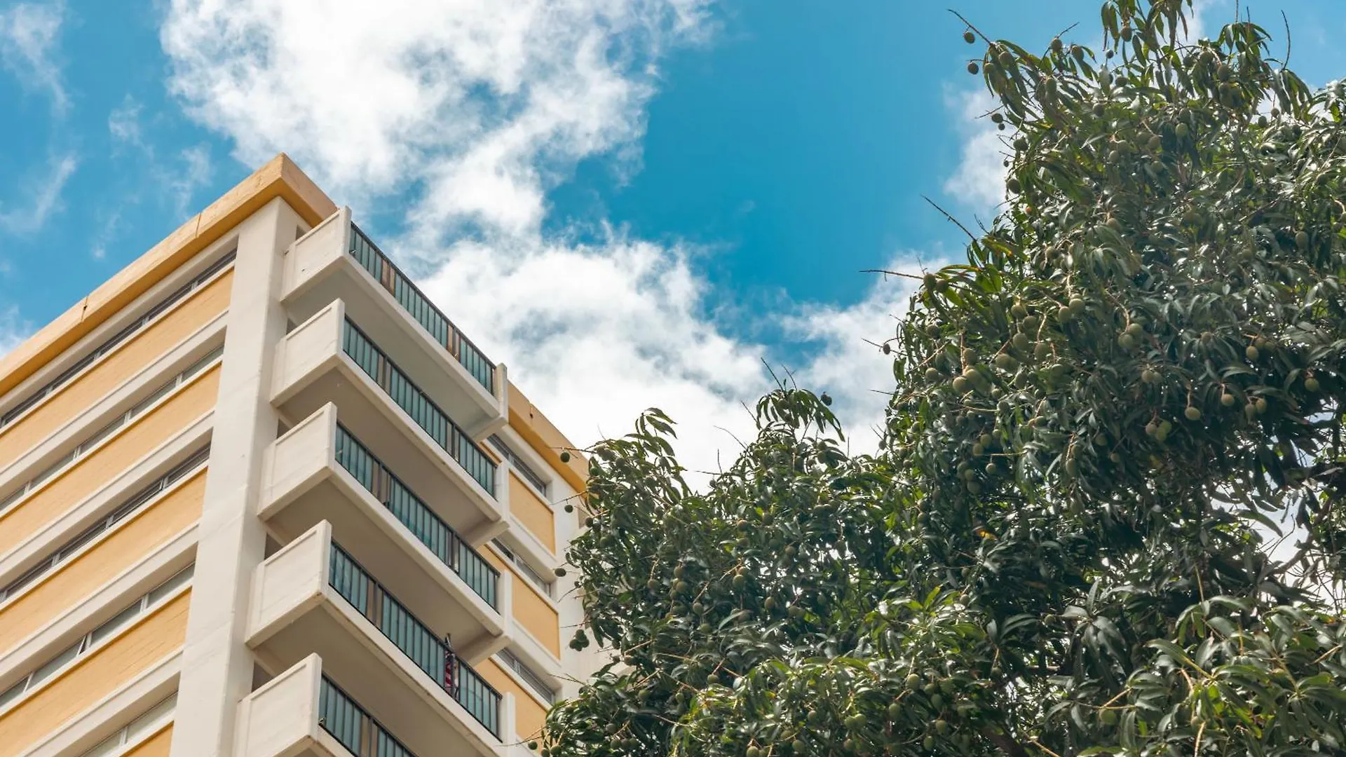 Kuhio At Waikiki 2Br And 2Ba Condo Near Beach With Parking Honolulu Apartment